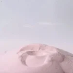 Bolt Bee Acrylic Powder (30gm)