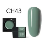 Canni Color Mud Gel (48 Colors) - Ch43 Sage