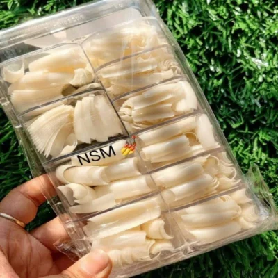 C Cut Natural Extension Tips Box