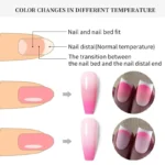 Born Pretty Thermal Color Changing Nail Gel Polish Tn15 (10ml)