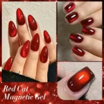 Born Pretty Red Cat Eye Gel Nail Polish T064 (15ml)