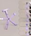 8-in-1 Cat Eye Nail Magnet Tool – Multi-Function Starfish Magnetic Stick for 3D5D Cat Eye Nail Art (1)