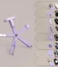 8in1 Cat Eye Nail Magnet Tool (3)