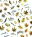 Black & Gold Laser Holographic Maple & Ginkgo Autumn Leaves Nail Stickers (JO-1614) (1)